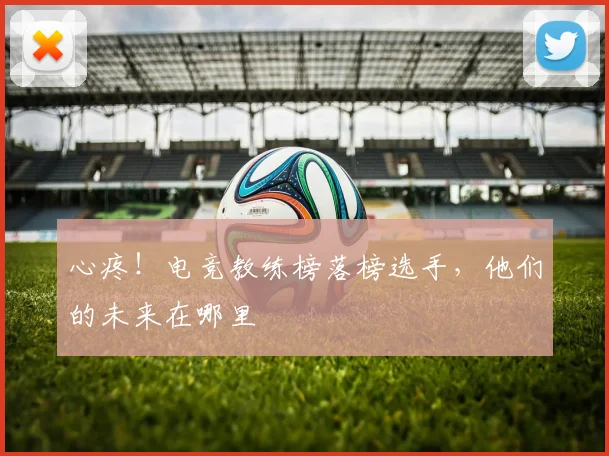 心疼！电竞教练榜落榜选手，他们的未来在哪里